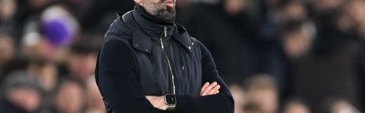 kaiyun-荷媒：范尼出任荷兰队助教已一个月，正协助科曼筹备世界杯事务